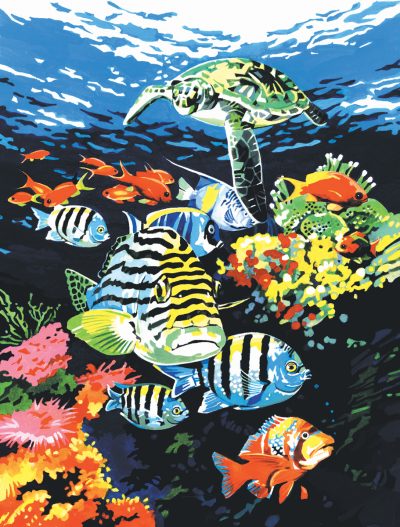 Royal & Langnickel PAL20 peinture par numéros adulte grand kit d'activités  artistiques, vie océanique 