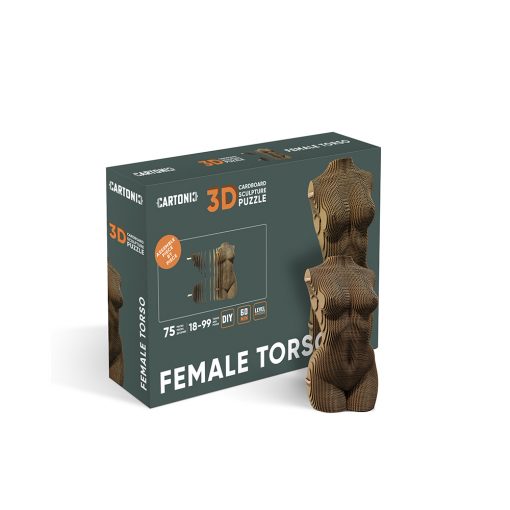 Female_torso_CARTONIC